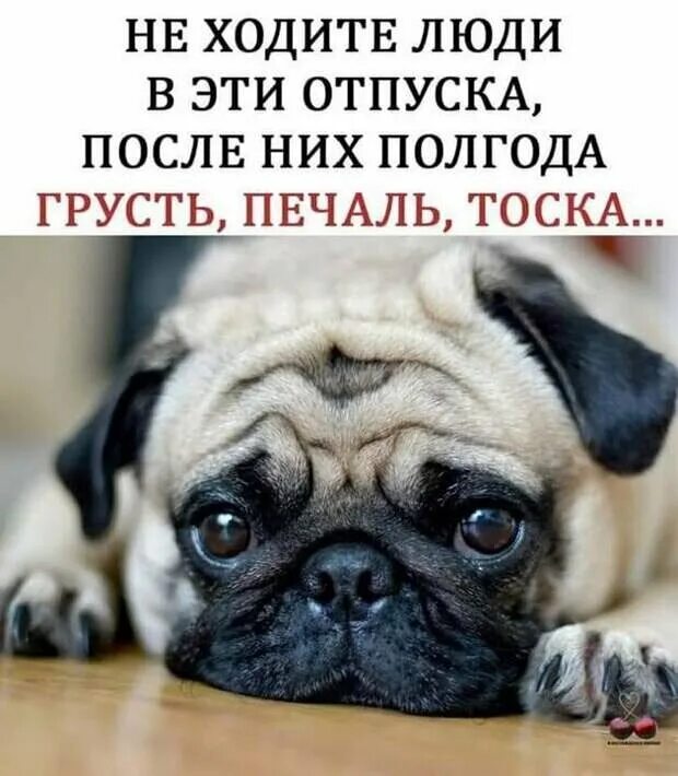 Первый раб день. Открытки конец отпуска. завтра на работу после отпуска приколы. отпуск закончился. отпуск закончился приколы.