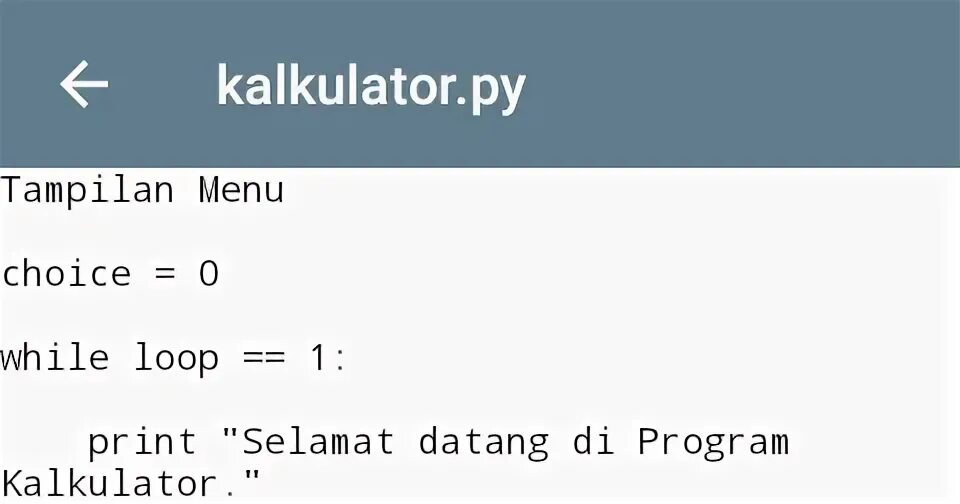 Компиляция python