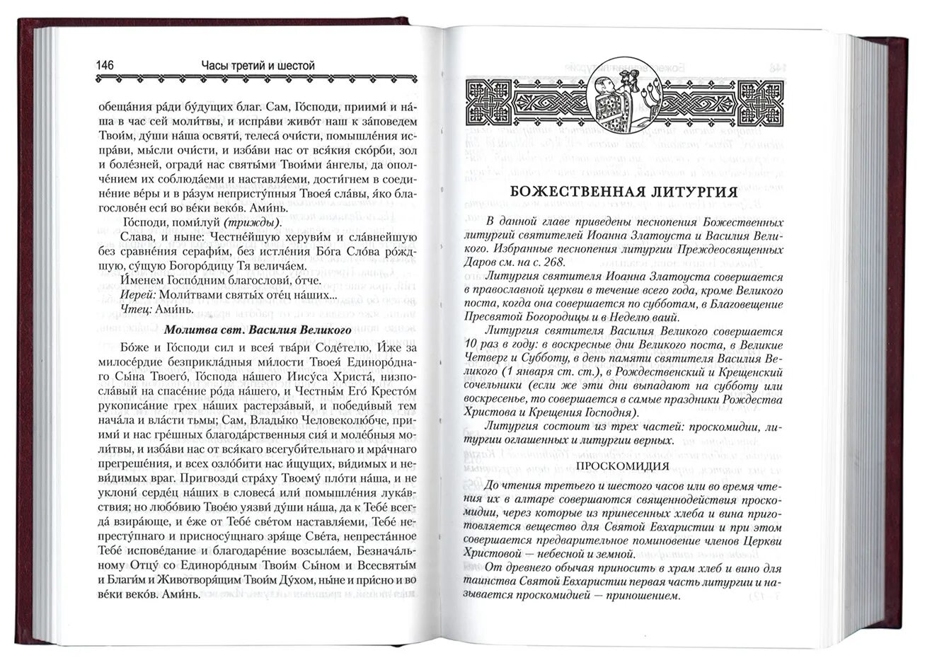 Литургия святого иоанна златоуста для клироса и мирян. Последование утреня служба. Объяснение литургии. Литургия самая главная служба книга анна сапрыкина. Божественная литургия текст с пояснениями.