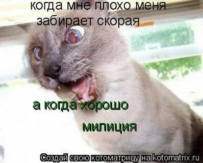 Скорее плохо