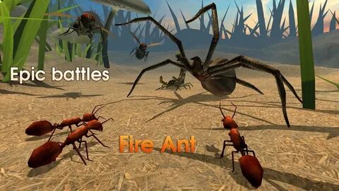 Ants games