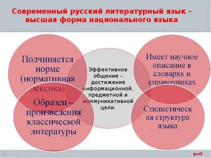 Понятие о русском литературном языке кратко