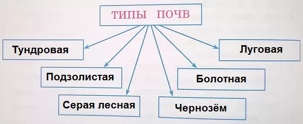 Почвы соответствие природной зоне. Виды почв схема. Типы почв схема. Три вида почв. Типы почв 3 класс.