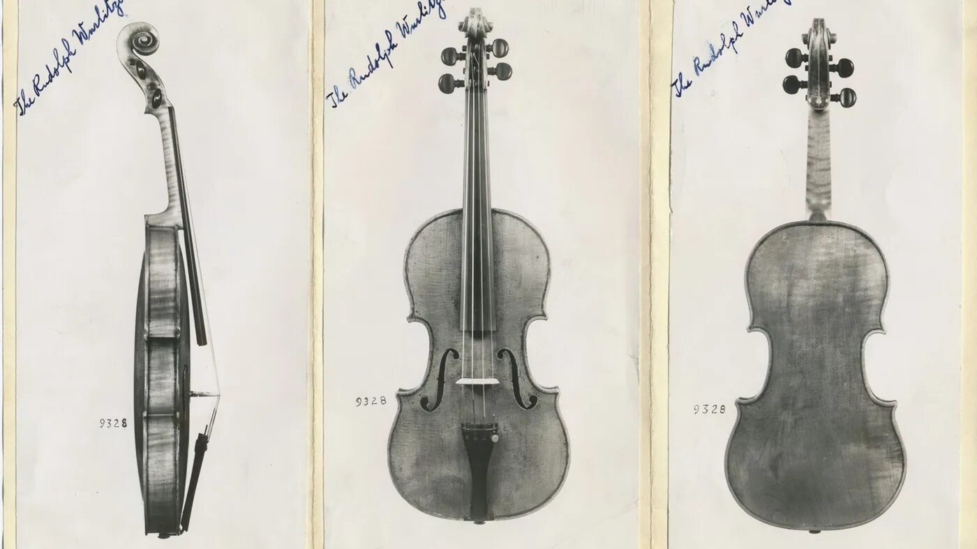Чертеж скрипки Antonio Stradivari. Чертежи скрипки Гварнери. Макет скрипки. Скрипка вид сбоку. Скрипки карта