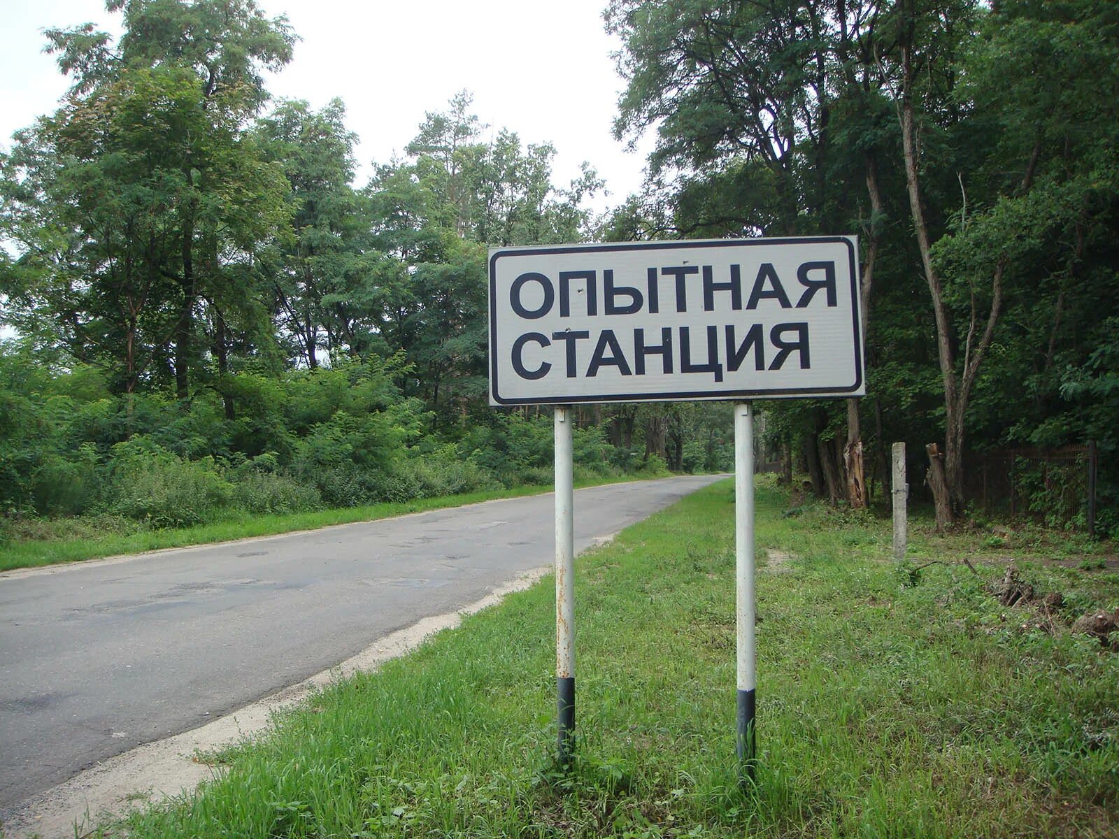 Новозыбковская опытная станция виуа. Новозыбковская спичечная фабрика. Поселок опытная станция новозыбков. Новозыбковская опытная станция виуа. Опытная станция новозыбков.