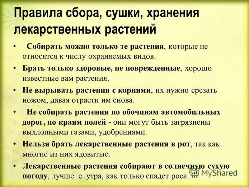 Правила безопасности растительного сырья. Правила хранения лекарственных растений. Методика сбора лекарственных растений. Правила сбора и хранения лекарственных растений. Правила сбора сушки и хранения лекарственных растений.