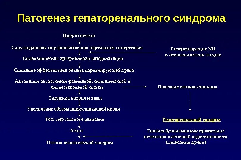 Признаки отека печени. Механизм развития гепаторенального синдрома. Механизмы развития синдромы цирроза печени. Отечный синдром при циррозе печени патогенез. Портальный цирроз печени патогенез.