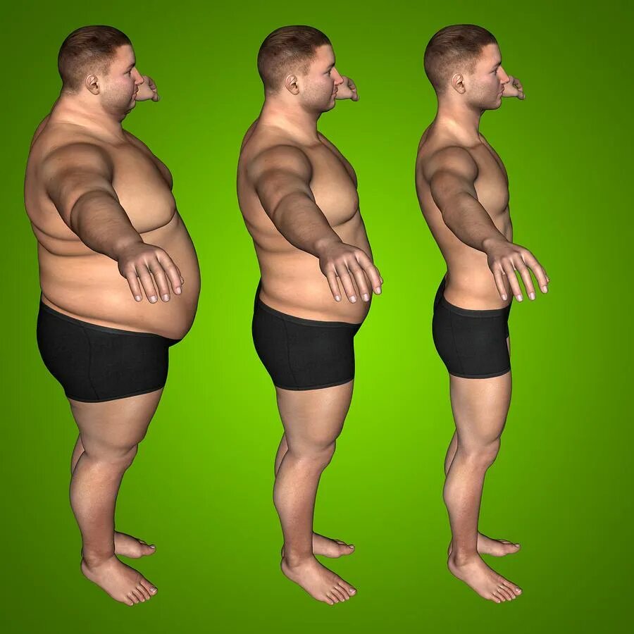 Снижение веса у мужчин. Ожирение. Толстый и худой. Полнота человека. Полные люди.