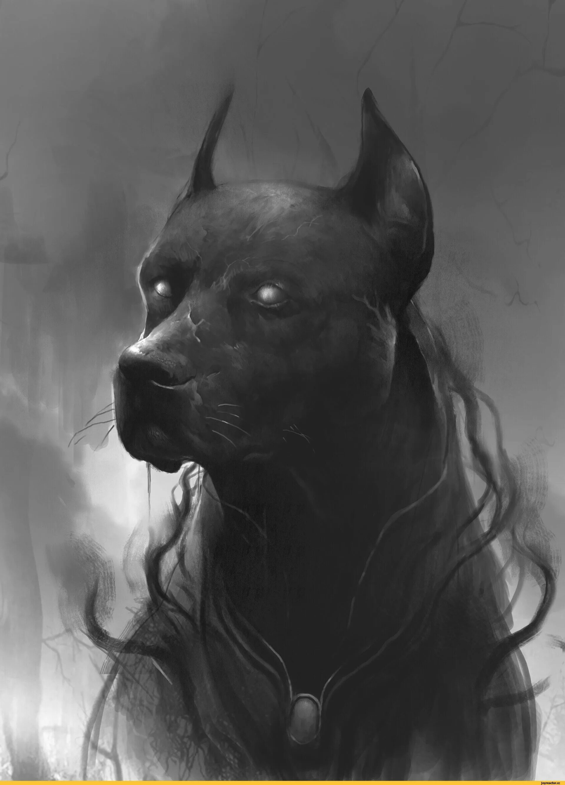 Мистические волки. Волк арт. Ярчук пес. Мистика собаки. Мистика собаки.