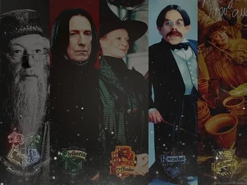 Годрик гриффиндор и ровена когтевран. Ровена равенкло салазар слизерин хельга хаффлпафф годрик гриффиндор. Кандида когтевран и салазар слизерин. Дамблдор минерва и северус. Персонажи гарри поттера арт гриффиндор.