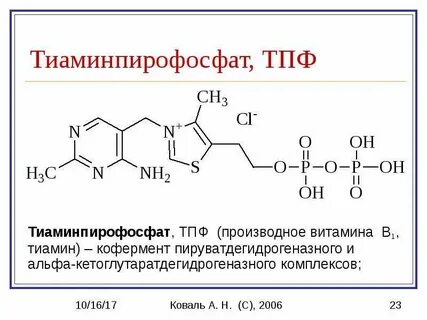 Кофермент в1