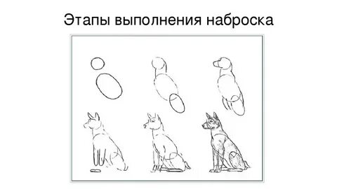 Нарисовать собаку 2 класс