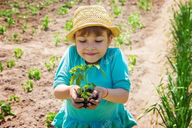 Дети цветов 6. Дети сажают растения. Ребенок сеет. Сеять растение ребенок. Дети садят помидоры в детском саду.