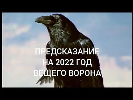 Песнь вещего ворона фанфик