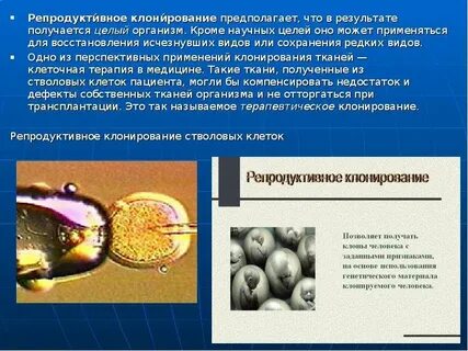 Виды клонирования