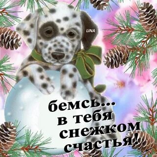 Лови добро
