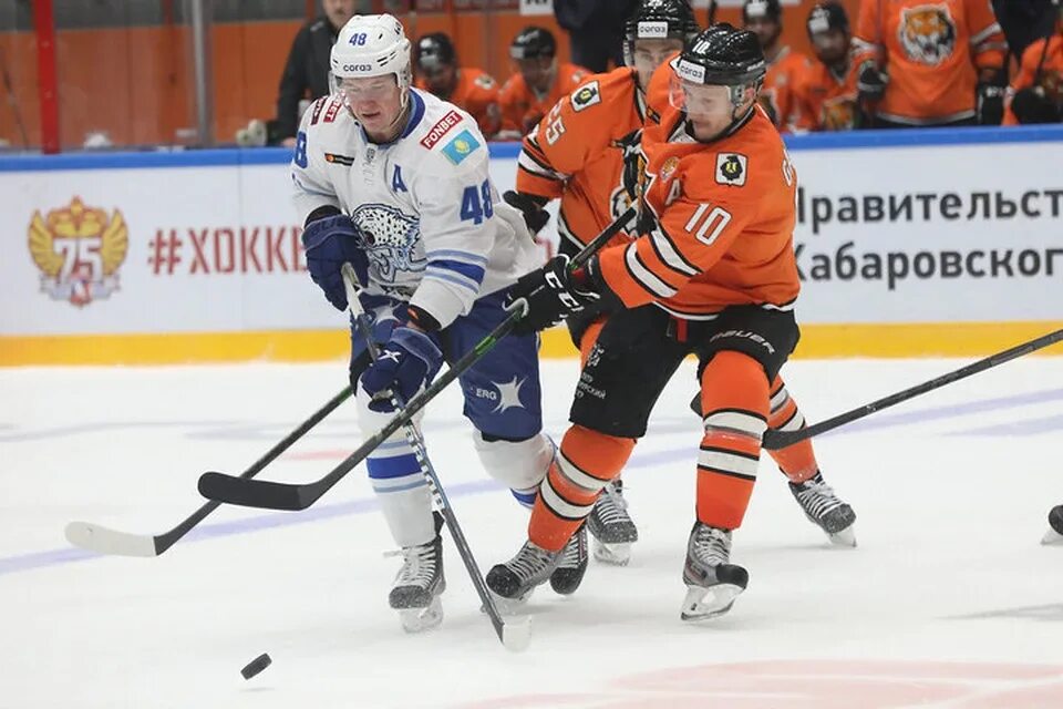 Амур барыс прогноз на матч. Экономич4ска ярод амура в хабавроским края.