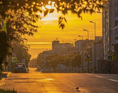 Подслушано в кургане