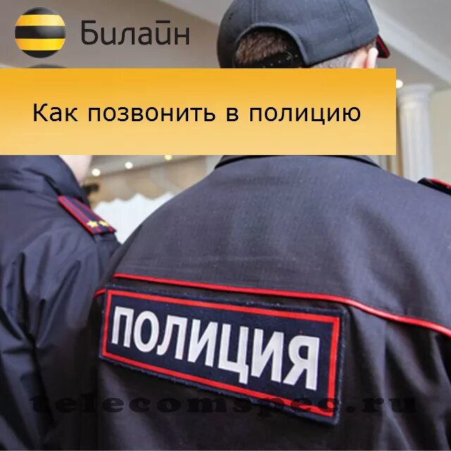 Анонимно позвонить в полицию. Какипозаанить в полицию. Какпозвонитьт в полицию. Как позвонить в полицию. Каг пазванить в палитсия.