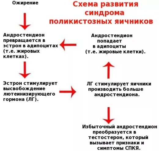 Синдром штейна-левенталя (поликистоз яичников). Дриллинг яичников при спкя. Мультикистоз яичников. Поликистоз яичников у женщин что это. Пкя – поликистозные яичники.