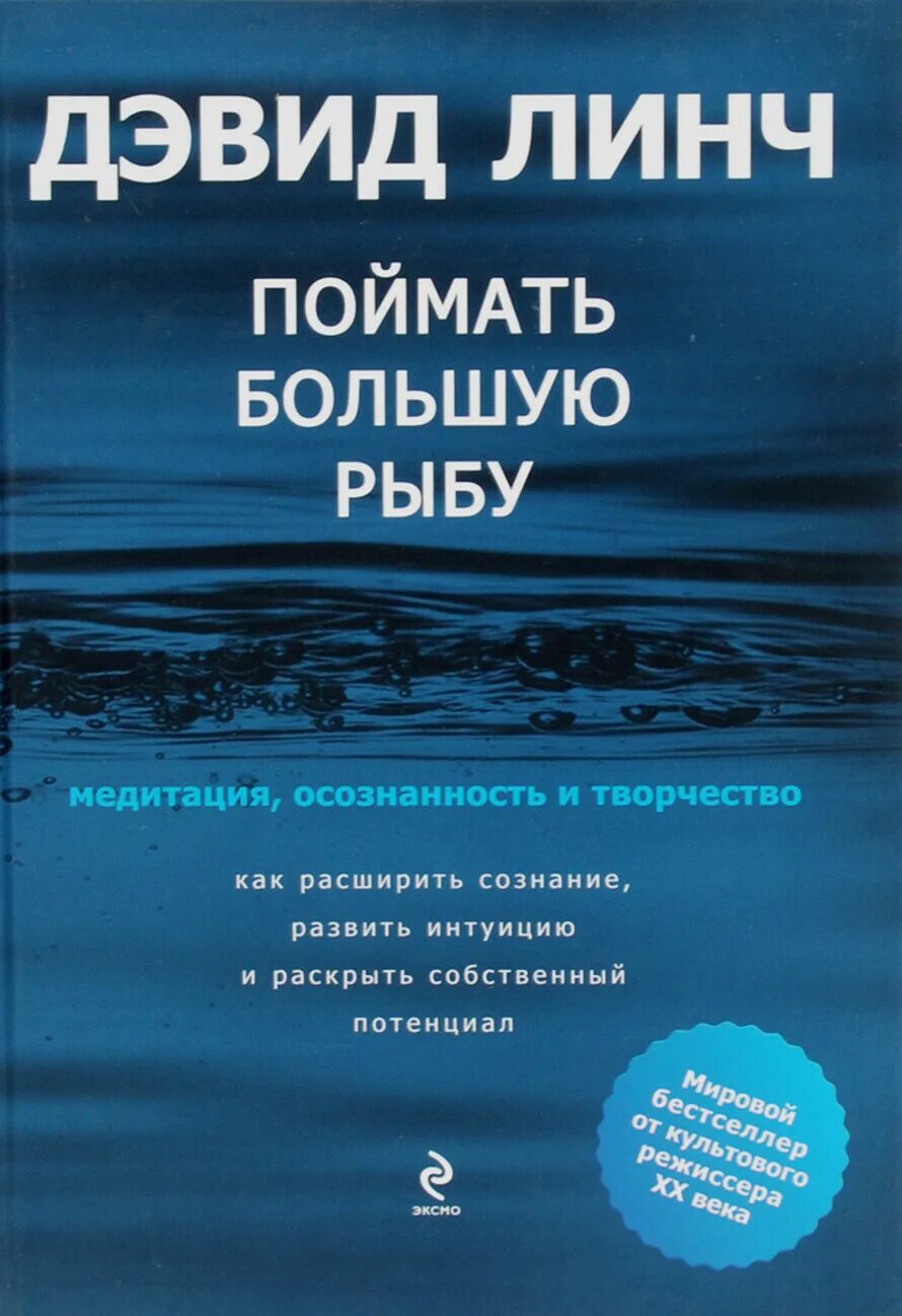 Поймать большую рыбу. Поймать большую рыбу Дэвид Линч. Дэвид Линч книга поймать большую рыбу. Поймать большую рыбу книга. Линч поймать большую рыбу книга.