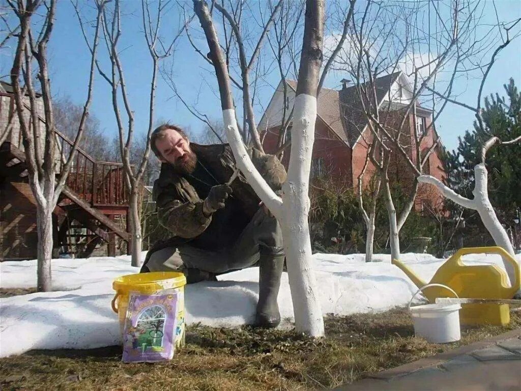 Огород под снегом. Работы в феврале в саду и огороде. Подготовка к дачному сезону рассада. Работы в феврале в саду и огороде. Огород в зимнем саду.