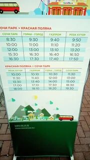 Номер автобуса до сочи парка