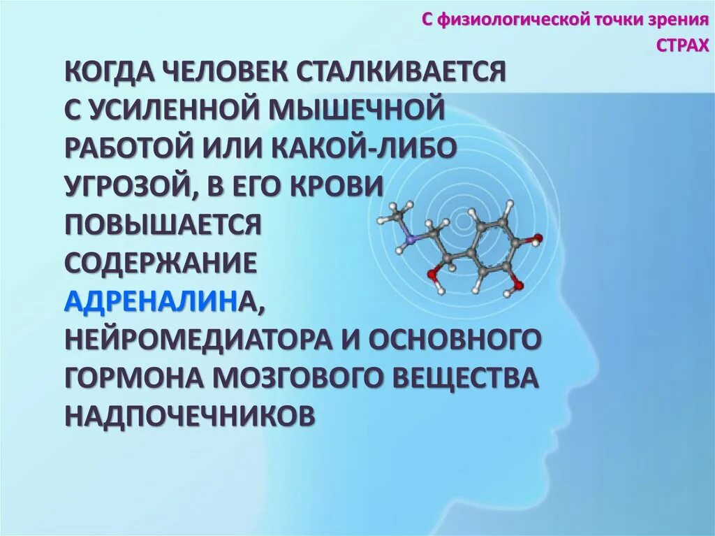 Как объяснить это с биологической точки зрения. Физиологическая точка зрения. Слово с физиологической точек зрения. С физиологической точки зрения психика это. С физиологической точки зрения вменяемости это.