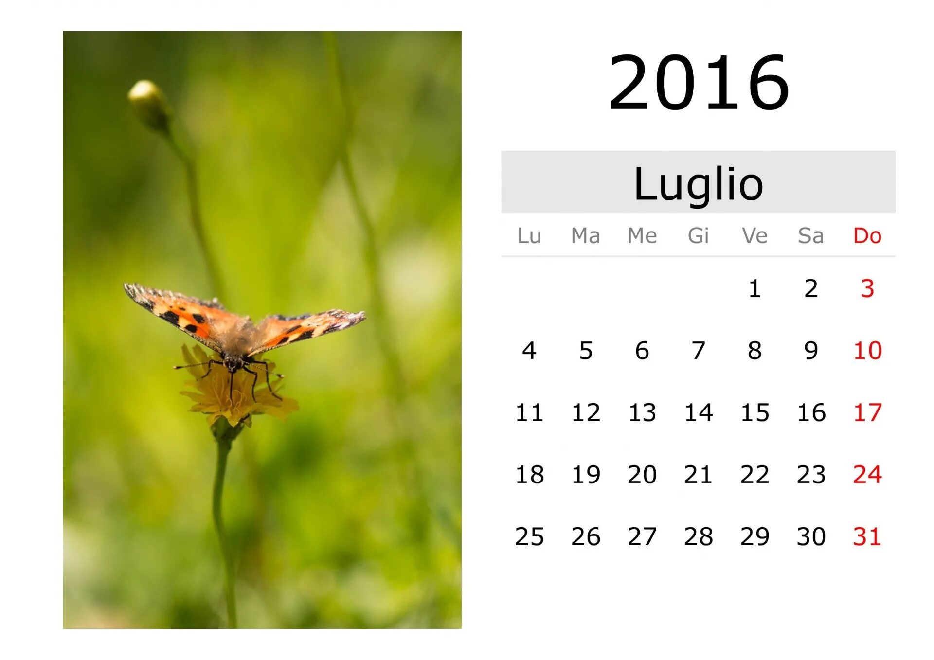 Июль 2016 календарь. Календарь июль картинка. Календарь на июль 2016 года. Календарь июль 2016г. Календарь на июль месяц