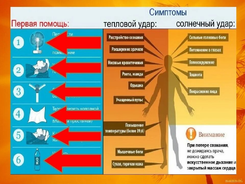 Причины солнечного удара симптомы первая помощь. Симптомы солнечного и теплового удара. Тепловой удар симптомы у взрослого. Профилактика при тепловом ударе. Симптомы при тепловом ударе.