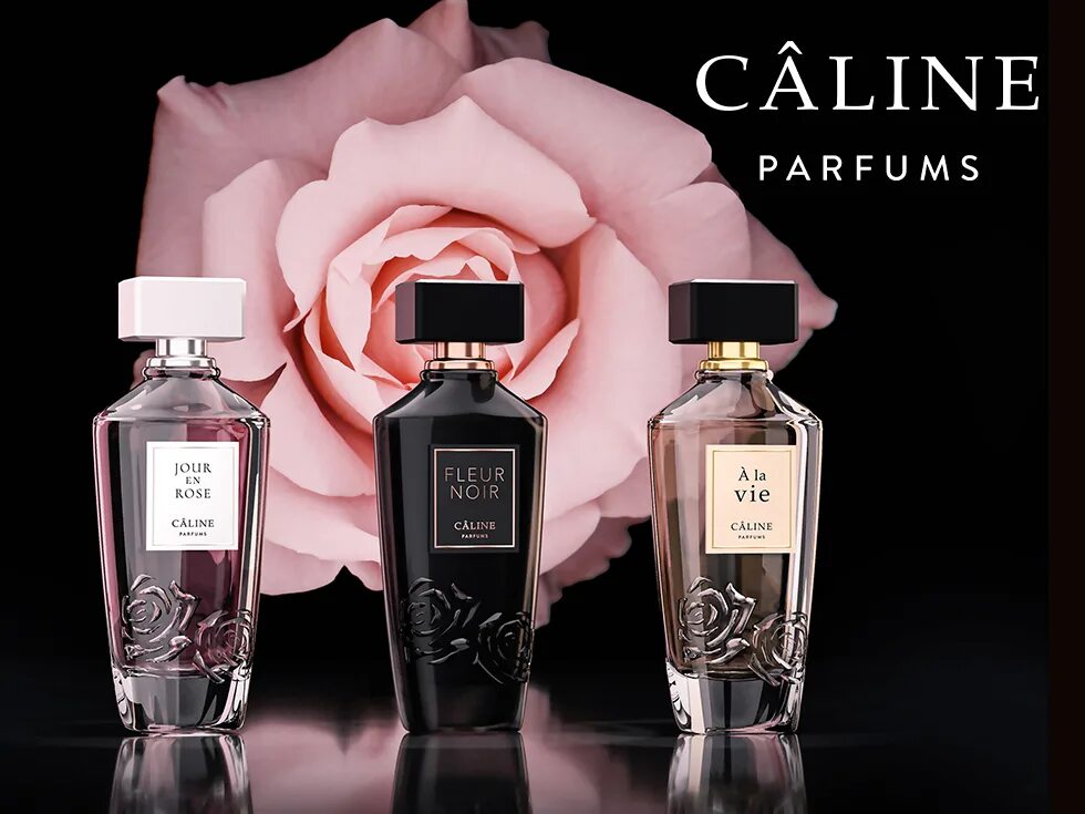 Fleur Noir духи. Caline Парфюм. Parfum fleur Noir EDP by Caline. Celine fleur Noir духи. Флер парфюм отзывы