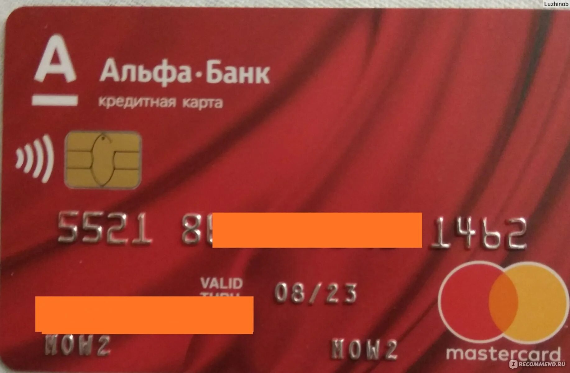 Альфа банк кредитная карта fast card. Карта Альфа банка. Кот Альфа банка. Дебетовая карта Альфа банка. Банковская карта Альфа банка.