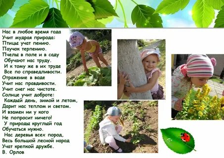 Нас в любое время года учит
