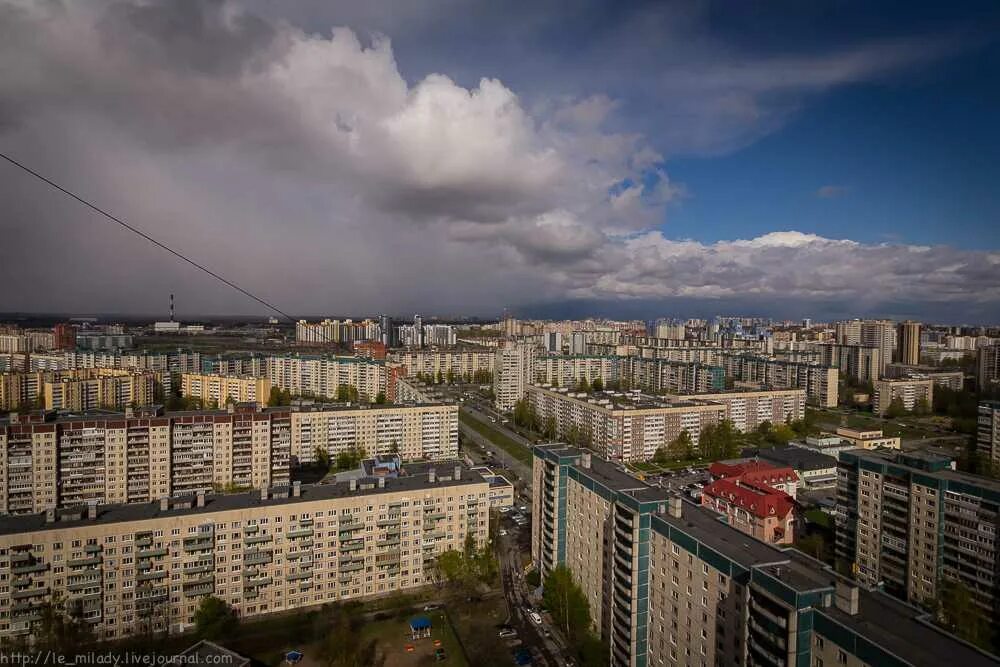 Приморский район Санкт-Петербурга. Комендантский проспект спальный район. Приморский район с высоты птичьего. Приморский район Санкт-Петербурга улица Парашютная. Зеленые районы спб