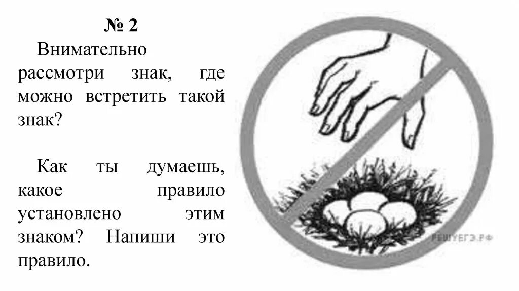 Знаки биология 5 класс ВПР. Знак зачеркнутые яйца в гнезде. Где можно встретить такой знак. Внимательно рассмотри знаки.