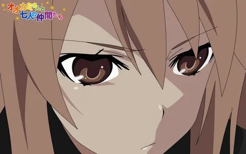 Nakama tachi