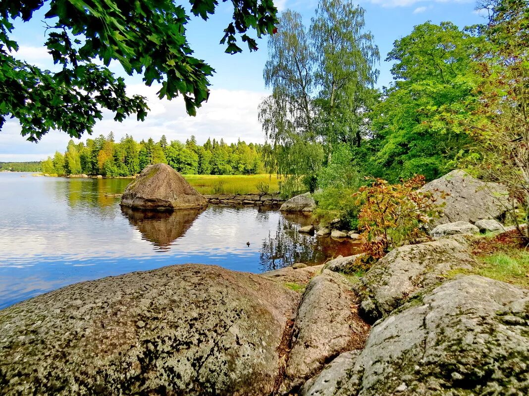 Парк монрепо сайт. Парк Монрепо в Выборге. Выборг ландшафтный парк. Заповедник Монрепо в Ленинградской области.