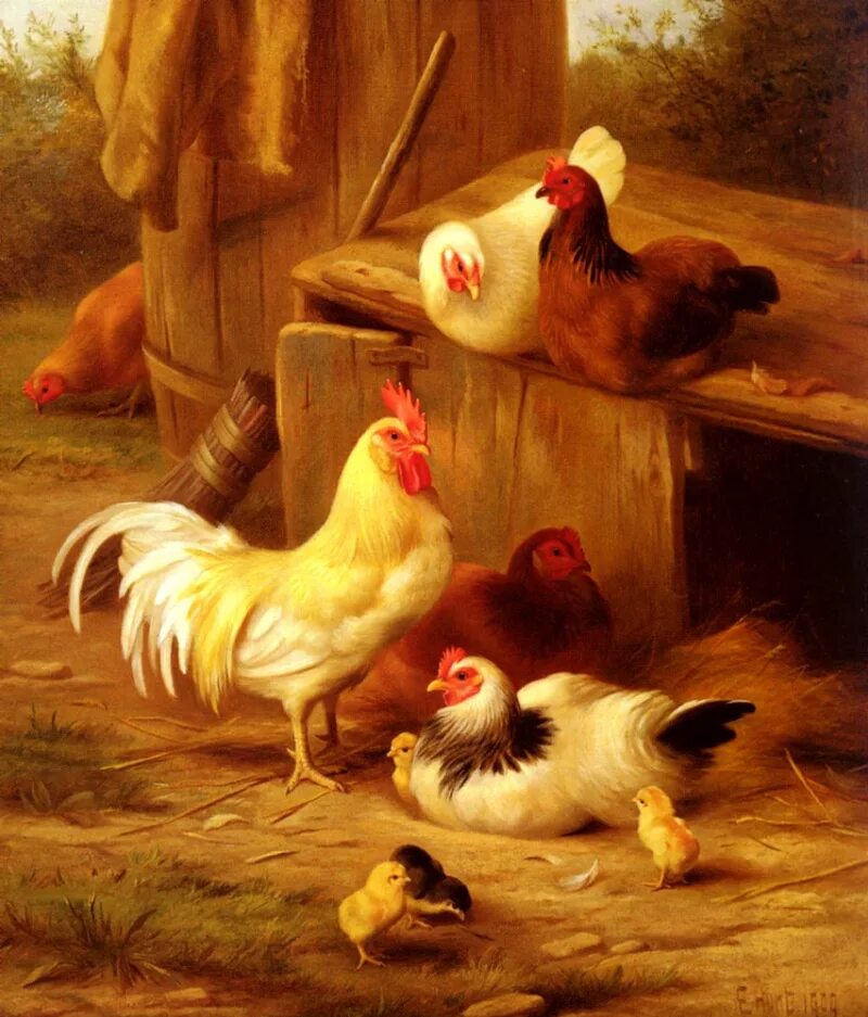 Картины с курами. Художник куры эдгар хант. эдгар хант картина цыплята. эдгар хант (1876–1953) куры и кролики;. эдгар хант художник картины.
