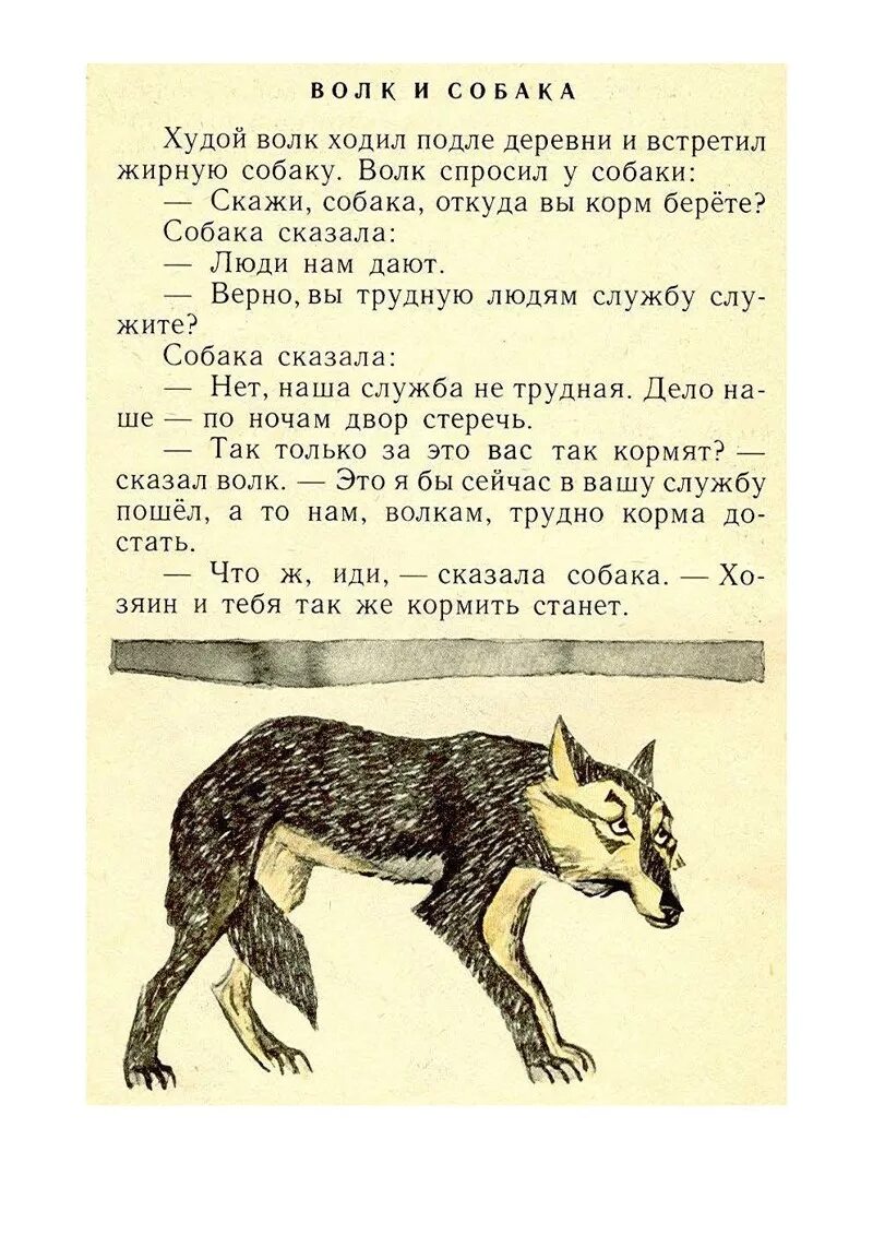 Басни л н Толстого. Басни Льва Николаевича Толстого. Басни Льва Толстого волк и собака. Лев Николаевич толстой басни короткие. Текст волк и собака