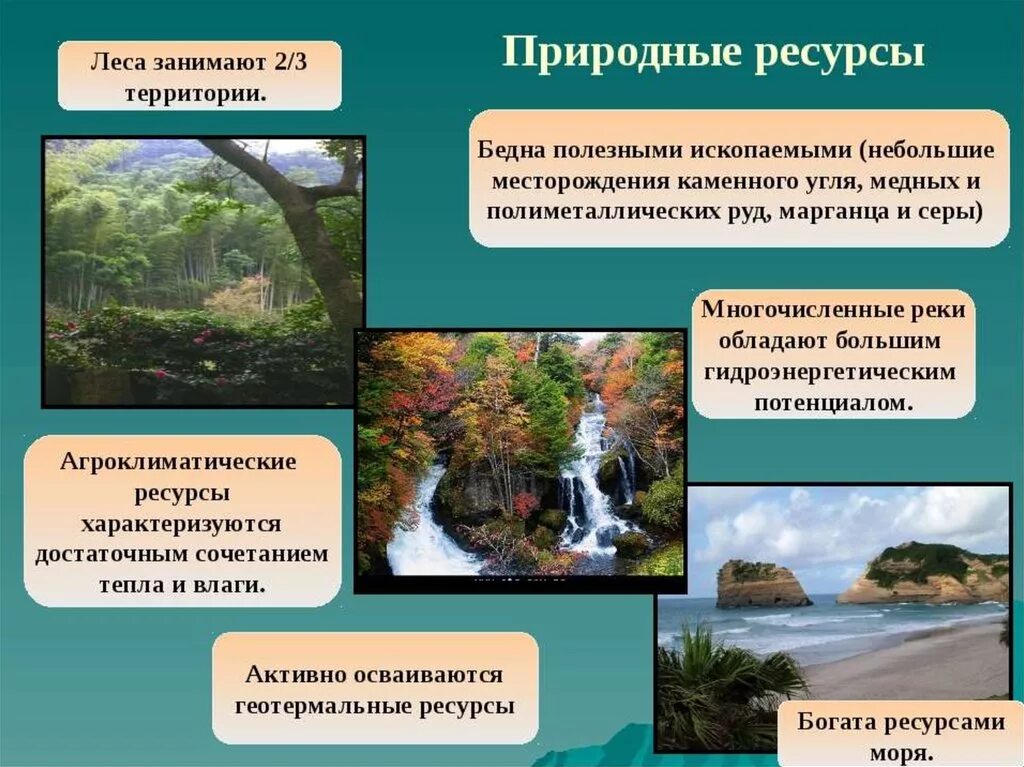 Рекреационное природопользование. Природные ресурсы. Природные богатства. Разнообразие природных ресурсов. Характеристика природных условий природных ресурсов.