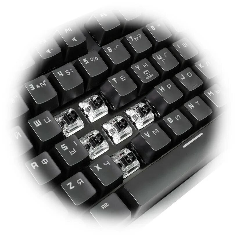 Клавиатура hator. Клавиатура hator rockfall evo. клавиатура hator rockfall evo tkl. rockfall evo tkl optical black. hator rockfall evo kailh optical.