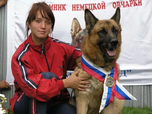 Питомник самара овчарка. Питомник немецких самара. Питомник собак в самаре овчарки. Питомник немецких самара. Питомник немецких самара.