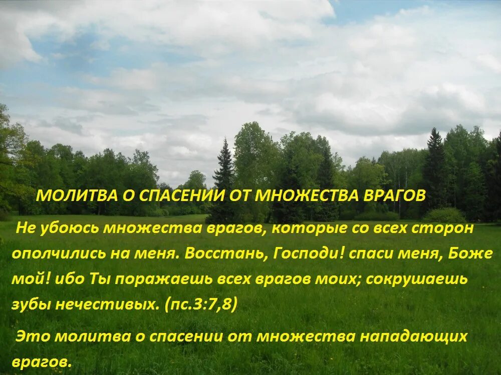 Боже сил боже спасения нашего