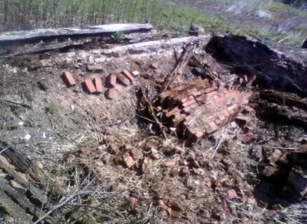 Нашли вид