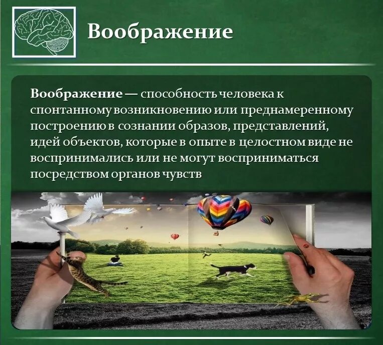 Воображение это навык. Воображение это способность. Воображение это способность человека. Воображение помогает человеку. Преднамеренное воображение.