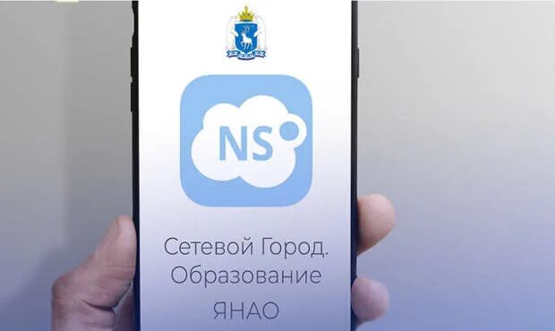 Сетевой город салехард 1. Электронный журнал сетевой. Город образование сетевой город образование. Сетевой город салехард 1. Сетевой город логин пароль.