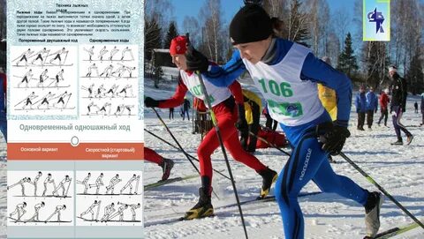 Лыжный спорт упражнения