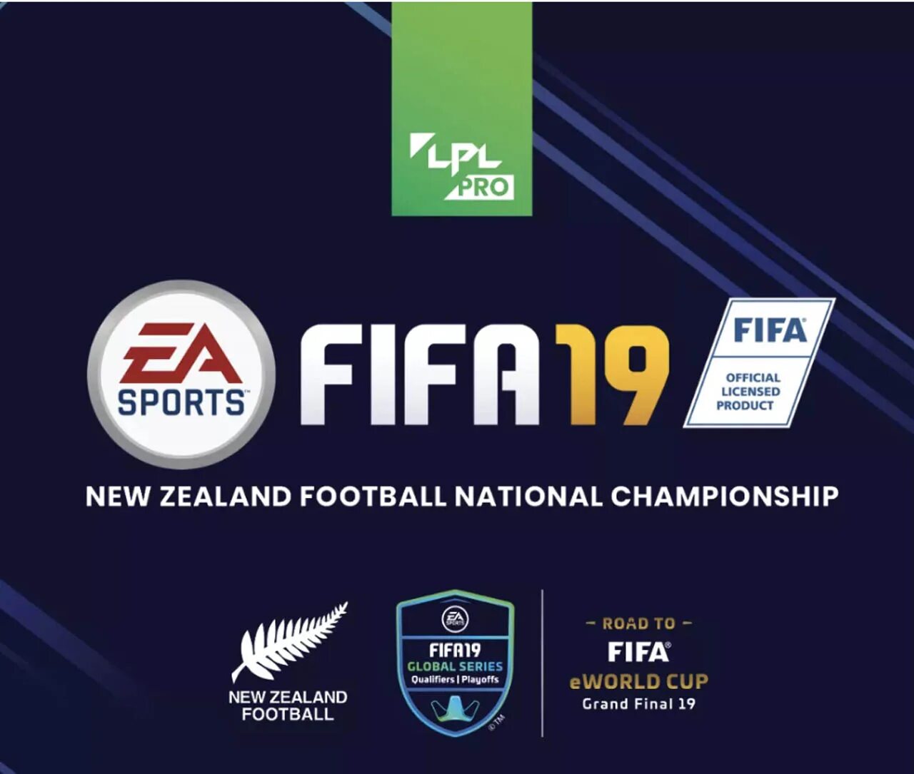 Fifa new. Чемпионшип ФИФА. New FIFA. FIFA New Zealand. Ибарра ФИФА 19.