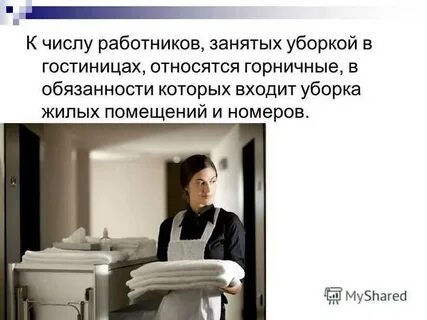 Обязанности гостиницы