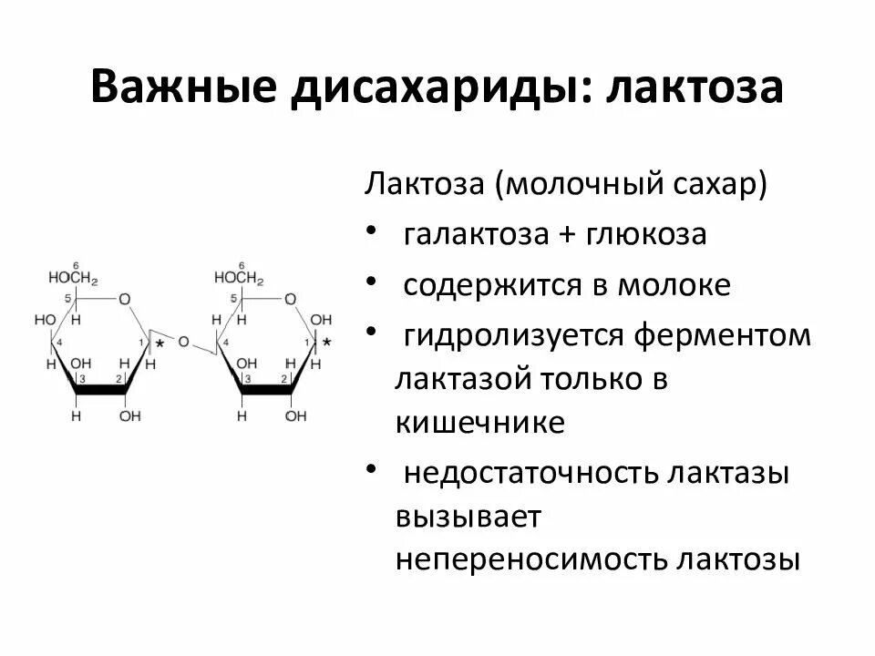 Ферментация лактозы. Дисахарид состоящий из галактозы и Глюкозы. Формула дисахарида лактозы. Галактоза и Глюкоза дисахарид. Лактоза дисахарид.